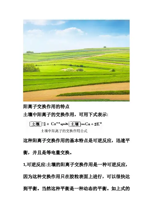 土壤阳离子交换作用的特点