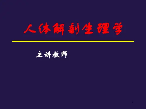 人体解剖生理学课件