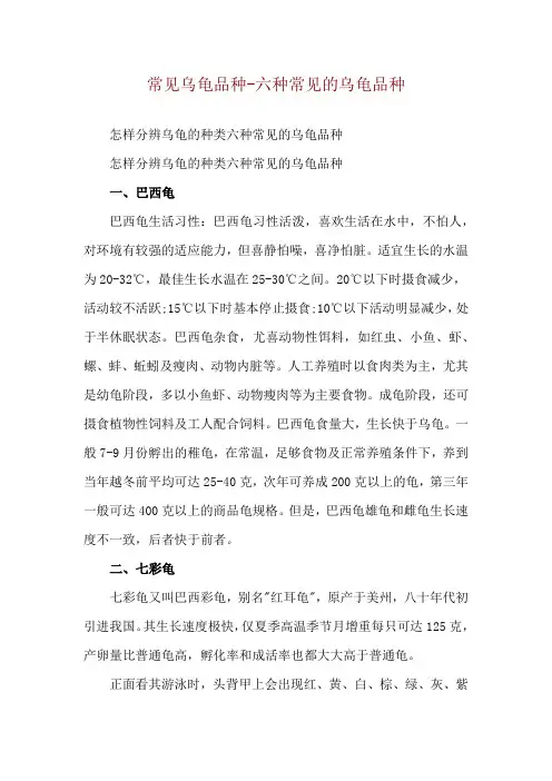 常见乌龟品种-六种常见的乌龟品种