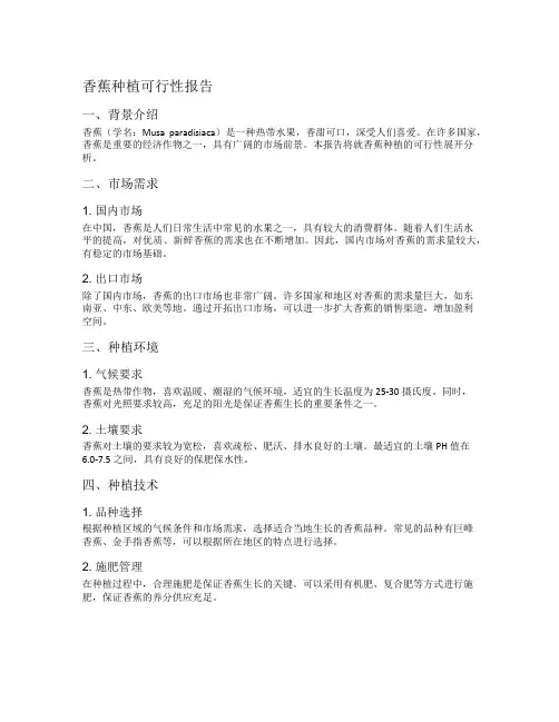 香蕉种植可行性报告