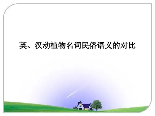英汉动物植物名词民俗语义对比