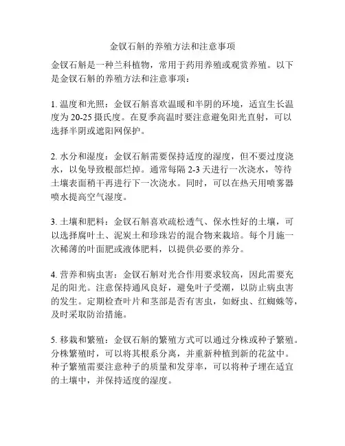 金钗石斛的养殖方法和注意事项
