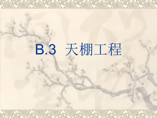 B3天棚工程