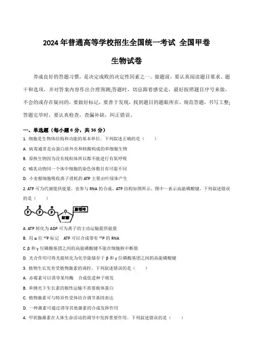 (2024年高考真题)2024年普通高等学校招生全国统一考试生物试卷 全国甲卷(含答案)