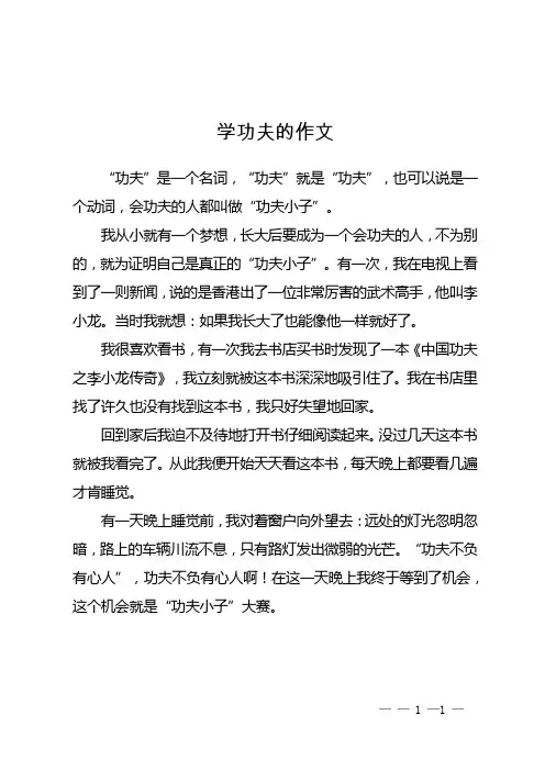 学功夫的作文