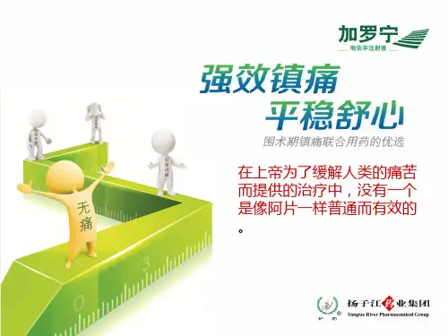 地佐辛注射液使用指南