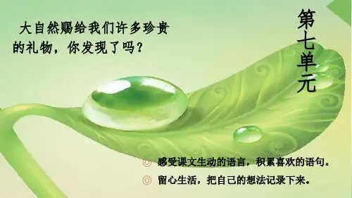 部编版二年级下册语文 21 大自然的声音 公开课课件