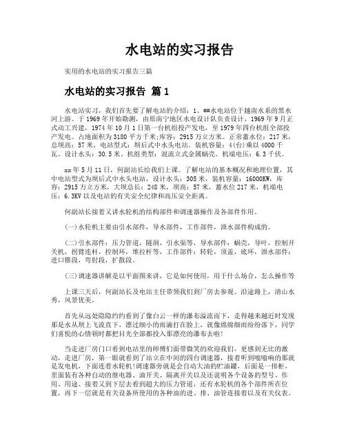 水电站的实习报告