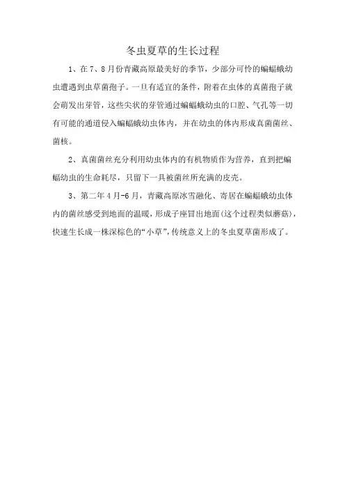 冬虫夏草的生长过程