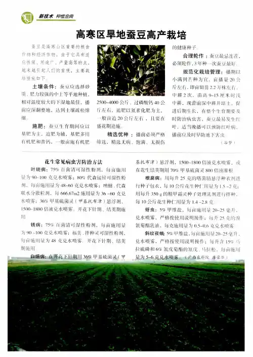 高寒区旱地蚕豆高产栽培