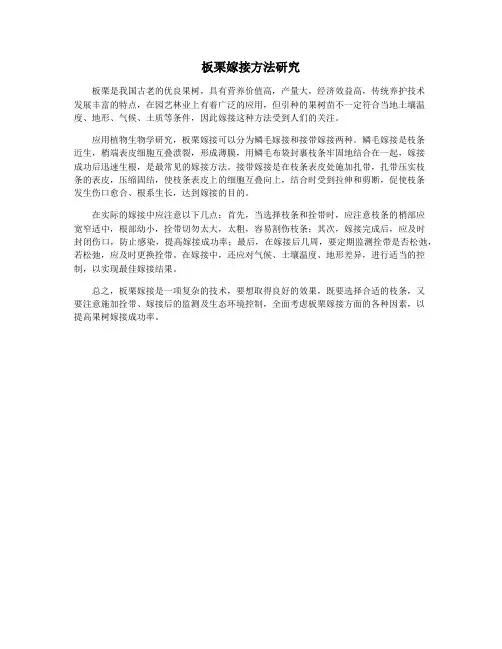 板栗嫁接方法研究