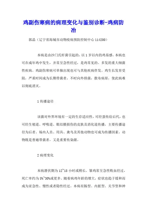 鸡副伤寒病的病理变化与鉴别诊断 - 鸡病防冶