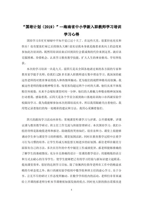 “国培计划(2019)”学习心得