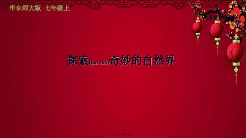 七年级科学上册 走近科学 1 探索奇妙的自然界习题课件 华东师大级上册自然科学课件