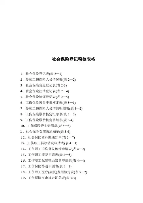 社会保险登记稽核表格