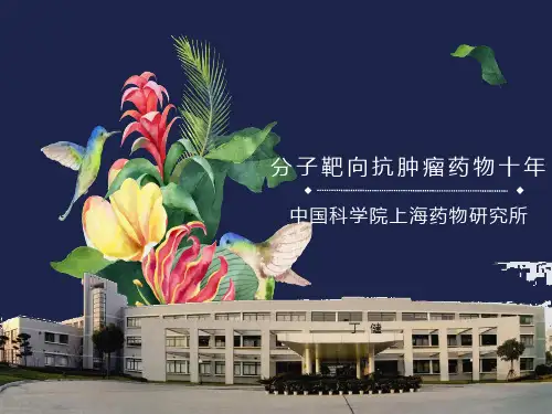 医学ppt-丁健分子靶向抗肿瘤药物十年中文终稿