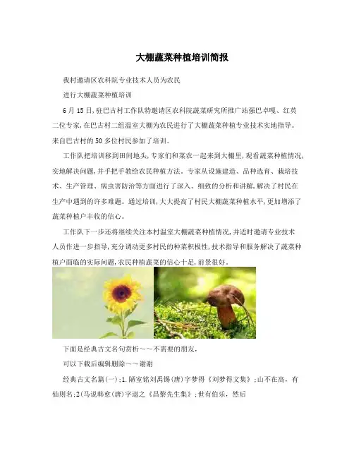 大棚蔬菜种植培训简报