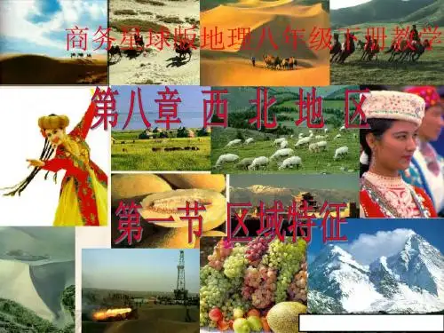 商务星球版地理八年级下册8.1《区域特征》ppt课件2