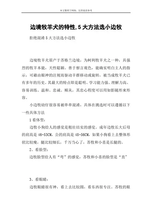 边境牧羊犬的特性,5大方法选小边牧
