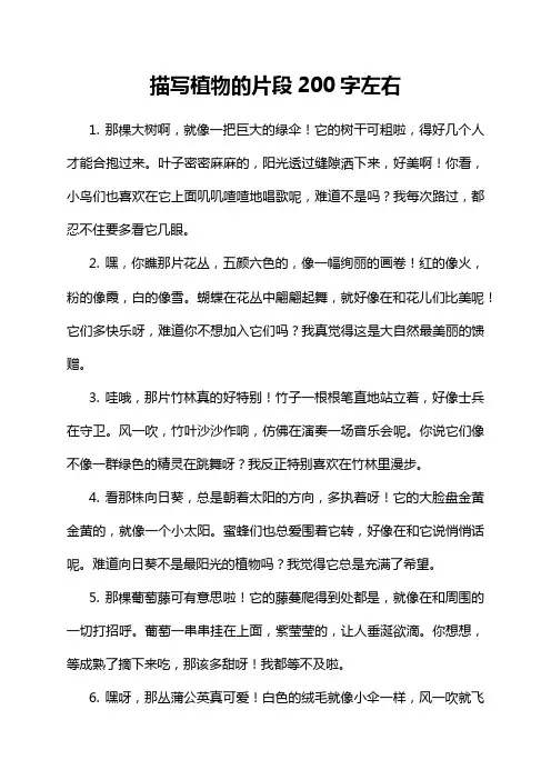 描写植物的片段200字左右