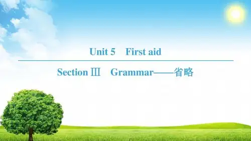 18-19 高中英语人教版必修5Unit  5 Section Ⅲ Grammar——省略