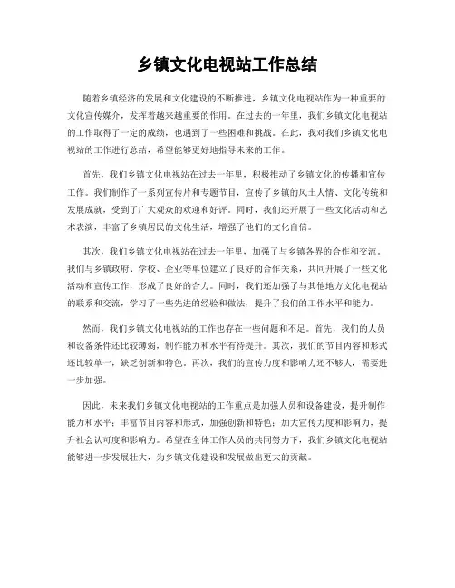 乡镇文化电视站工作总结