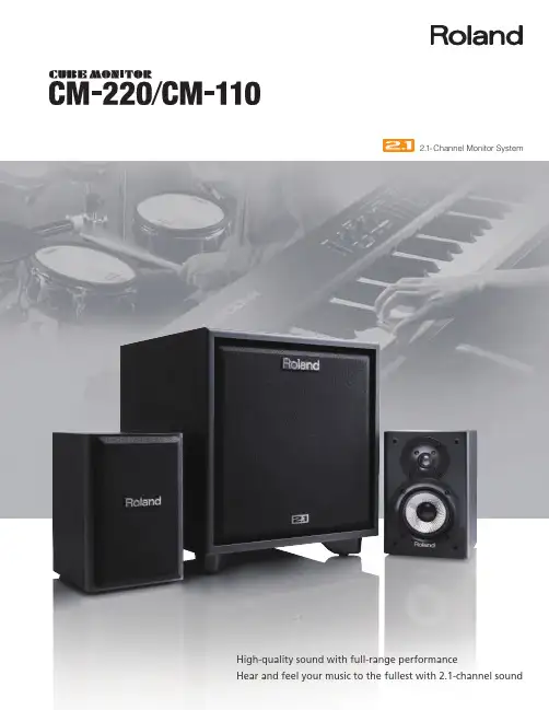 罗兰 CM-220 和 CM-110 2.1 声道监控系统说明书