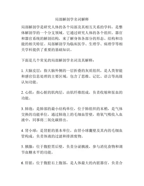 局部解剖学名词解释