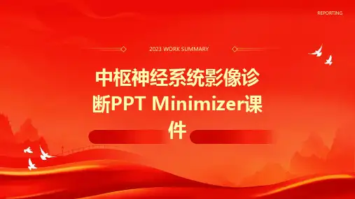 中枢神经系统影像诊断PPTminimizer课件