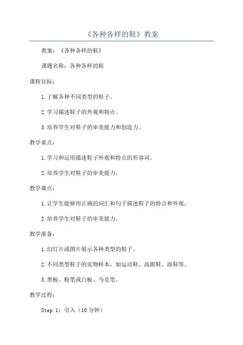 《各种各样的鞋》教案