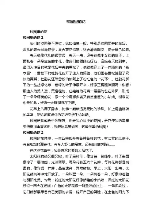 校园里的花