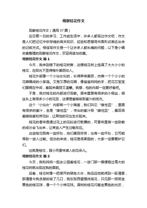 观察桂花作文（通用37篇）
