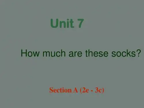 【学海风暴】2015-2016学年七年级英语上册 Unit 7 How much are these socks Section A(2e-3c)课件