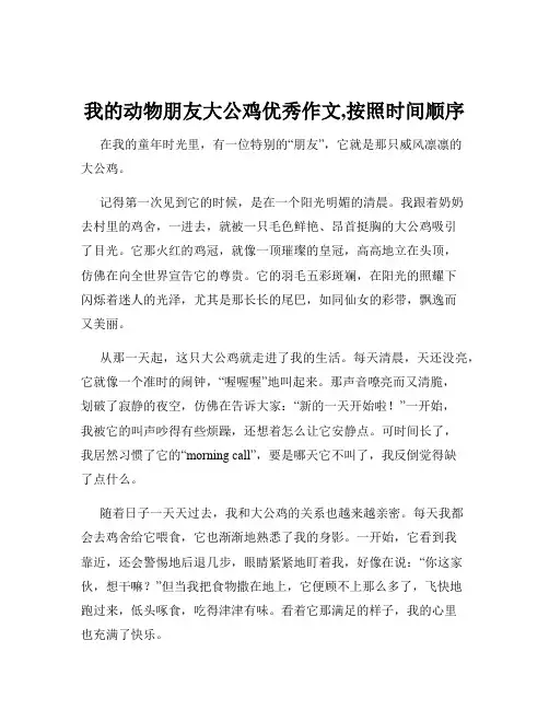我的动物朋友大公鸡优秀作文,按照时间顺序