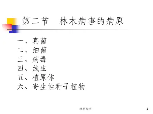 《林木病害的病原》PPT课件