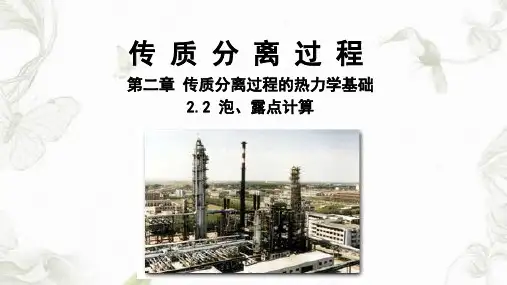 泡点和露点计算课件