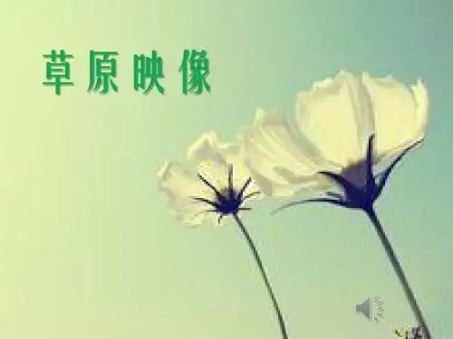 草原映像