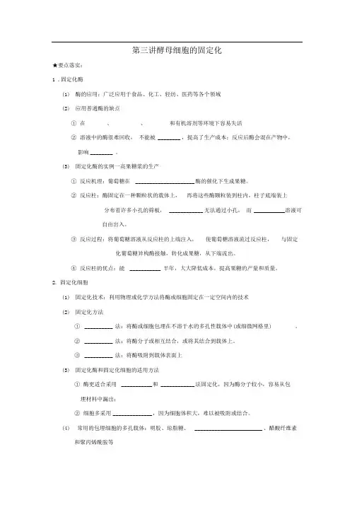 高中生物选修一第三讲酵母细胞的固定化
