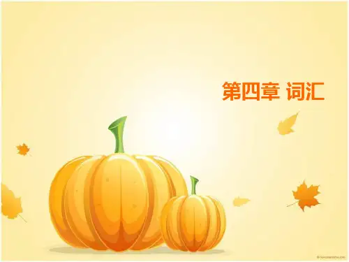 第四章 词汇 现代汉语