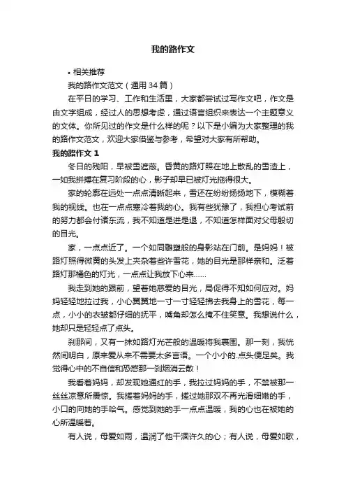 我的路作文