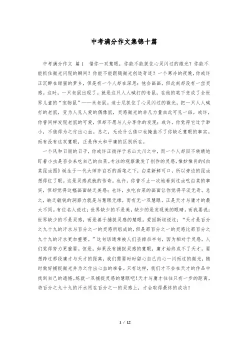 中考满分作文集锦十篇
