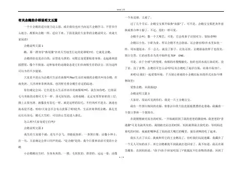 有关企鹅的介绍说明文五篇