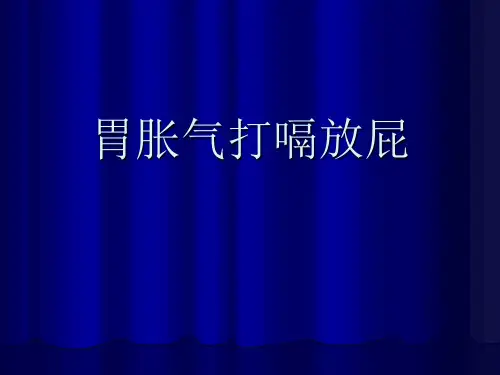 胃胀气打嗝放屁