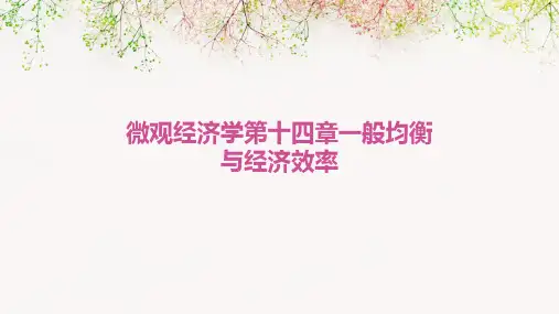 微观经济学第十四章一般均衡与经济效率