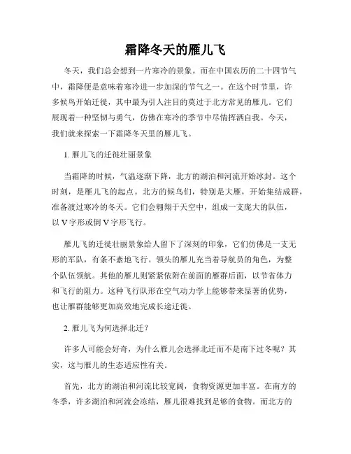 霜降冬天的雁儿飞