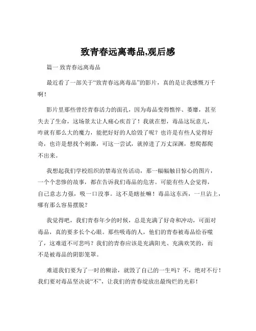 致青春远离毒品,观后感