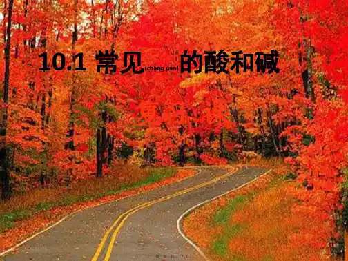 九年级化学下册 10.1 常见的酸和碱复习课课件 
