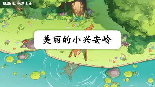 20.《美丽的小兴安岭》 课件(共24张PPT)