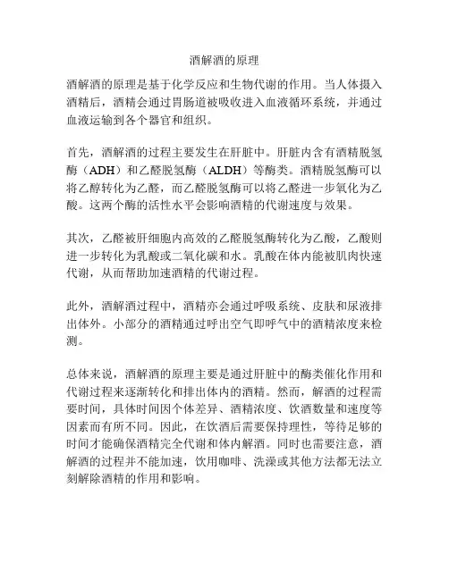 酒解酒的原理