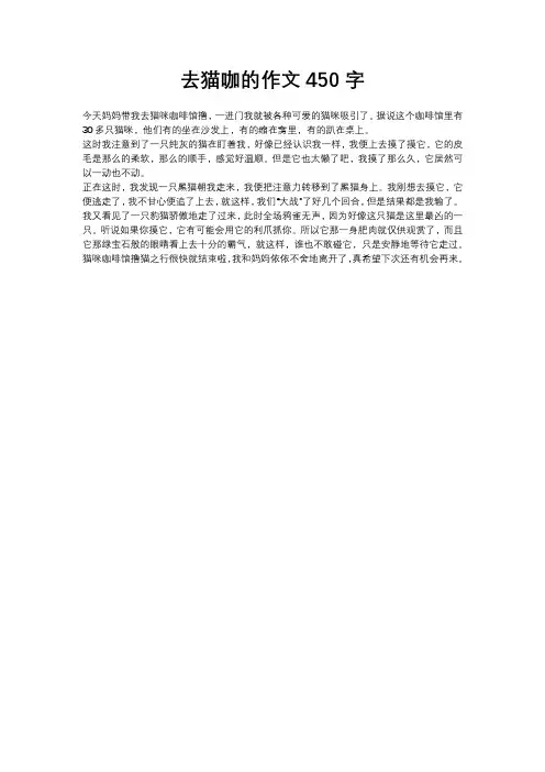 去猫咖的作文450字